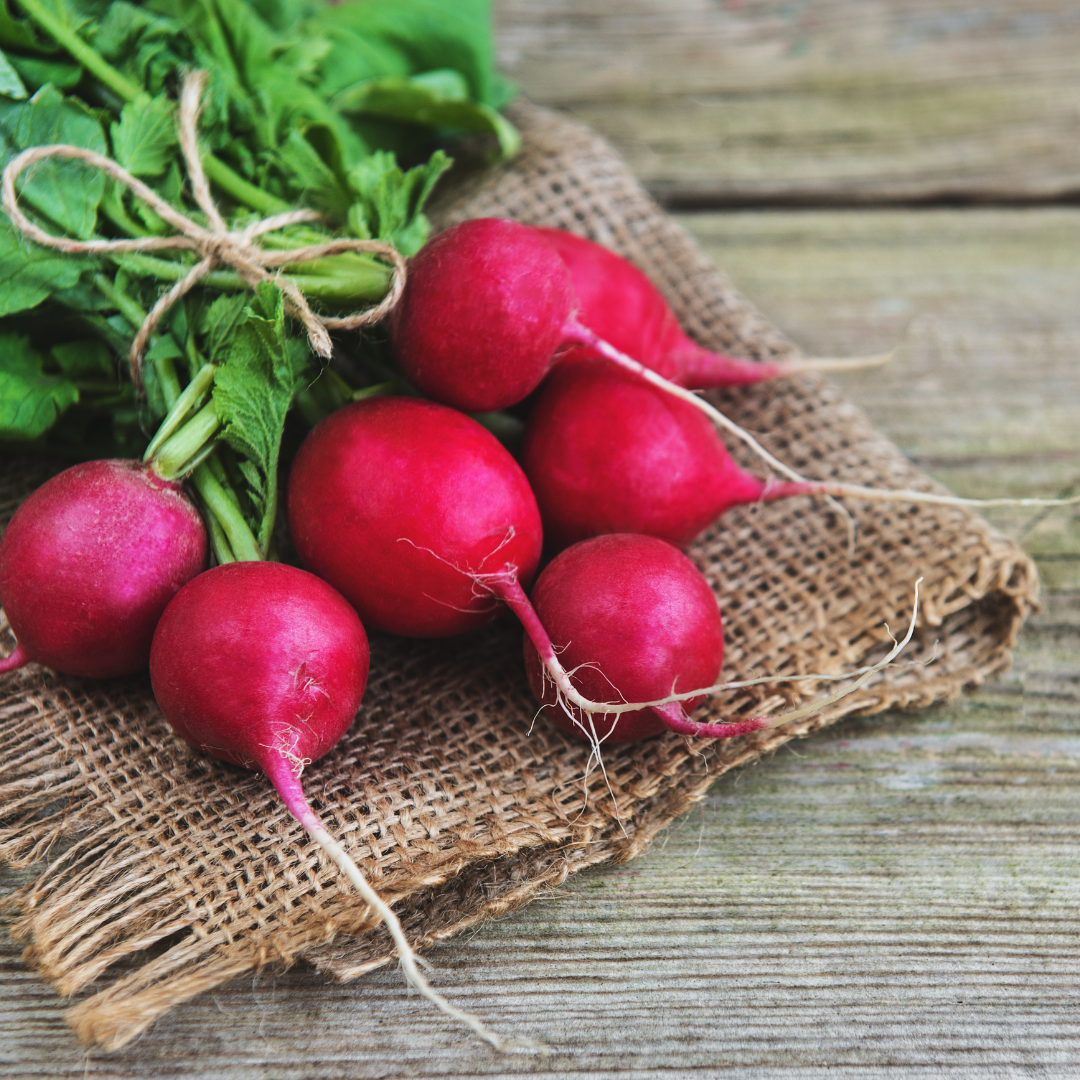 Radishes with Homemade Butter and Sea Salt – Saltery