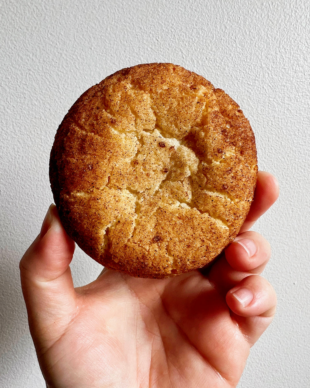 Joy's Five Spice Miso Snickerdoodles