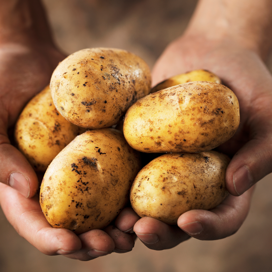 Crispy Herb Roasted Fingerlings