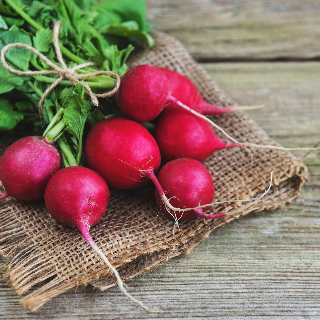 Radishes with Homemade Butter and Sea Salt