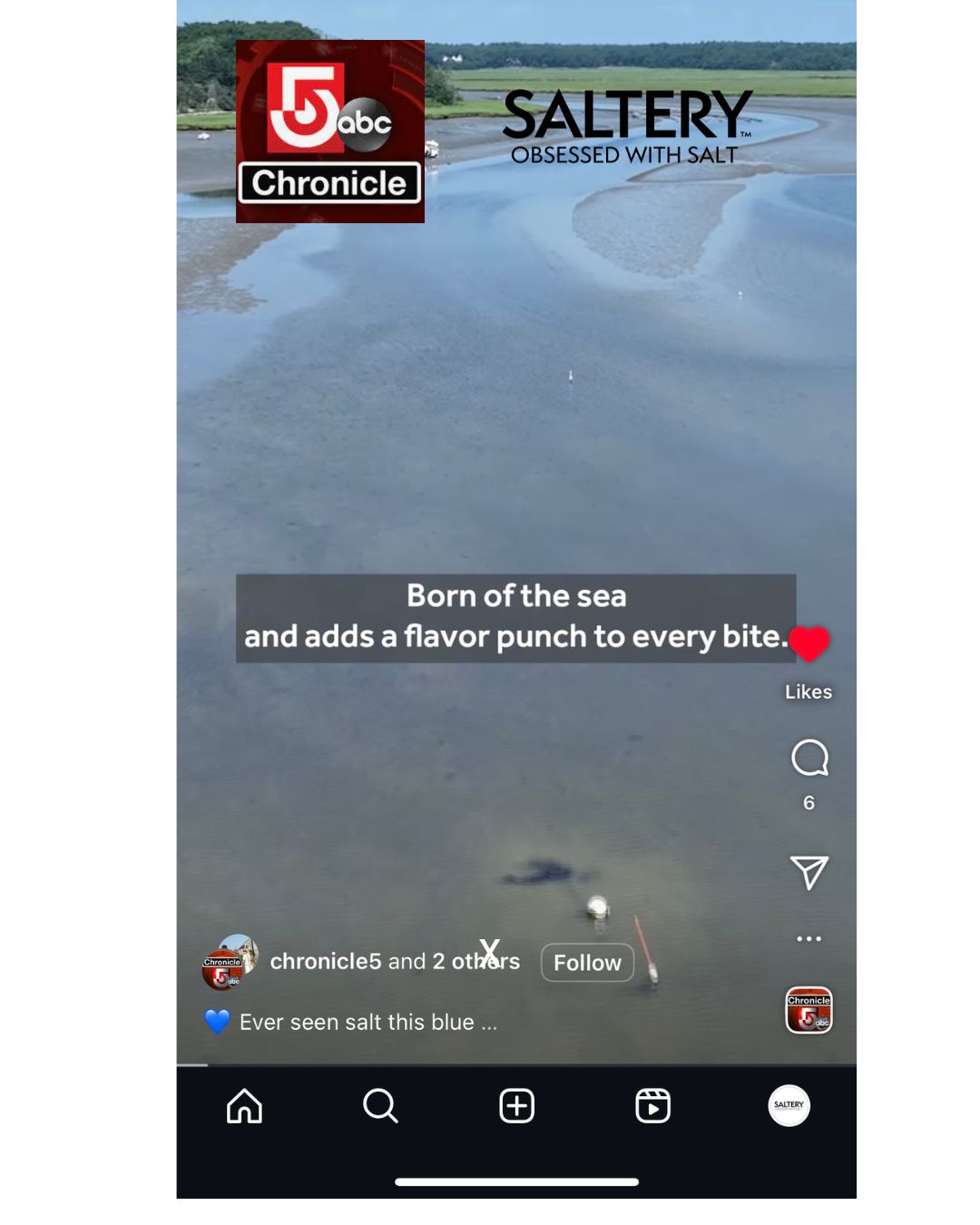 ABC Chronicle News x Saltery: Watch!
